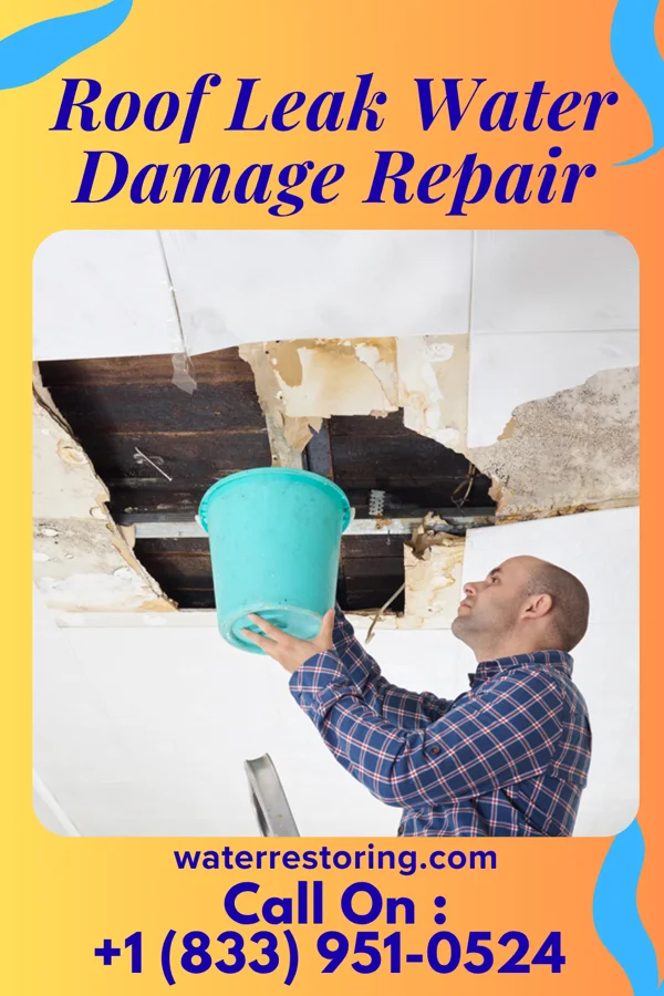 Roof Leak Water Damage Repair in Wilson, TX